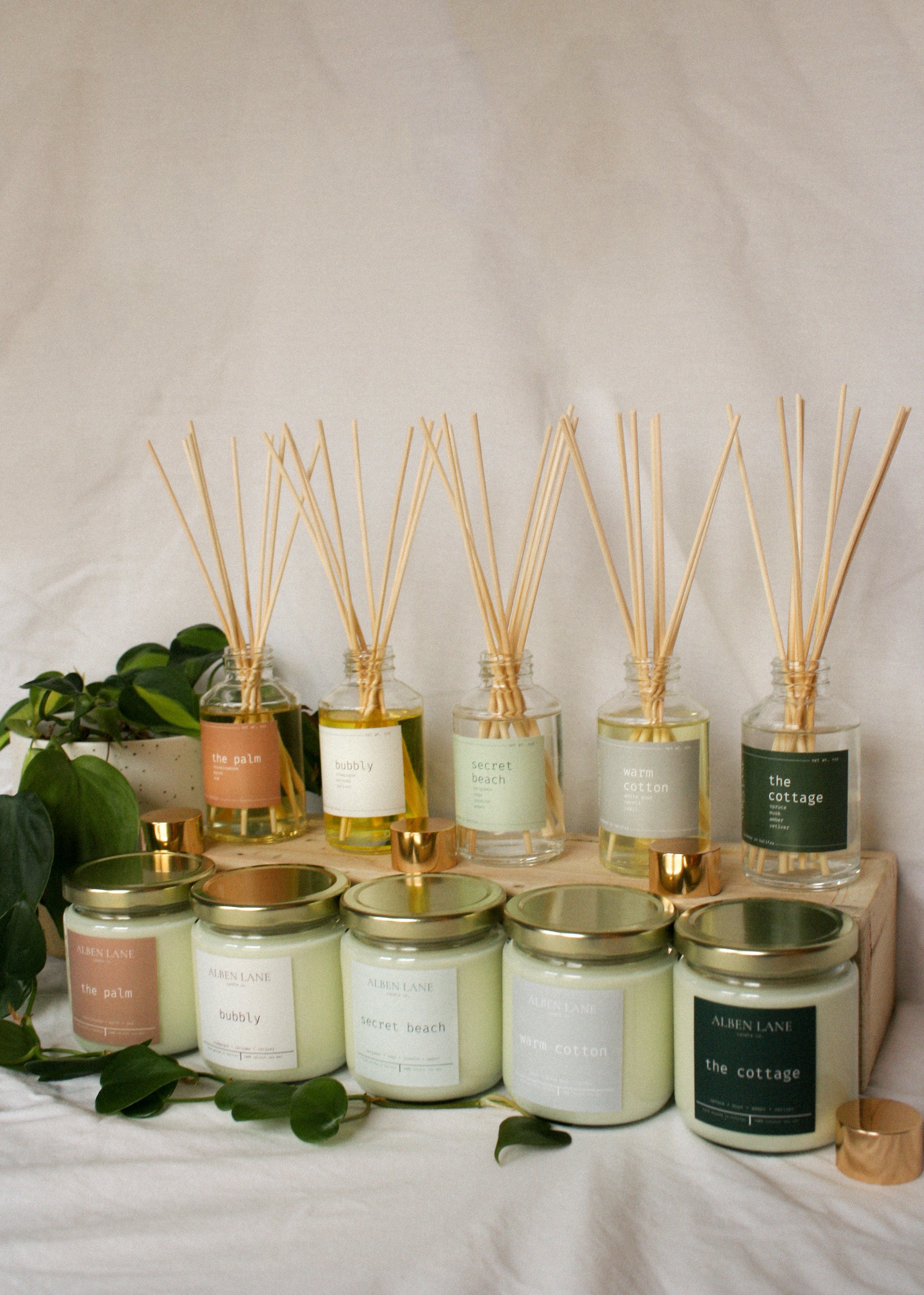 reed diffusers – Alben Lane Candle Co.