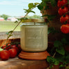 tomato vine