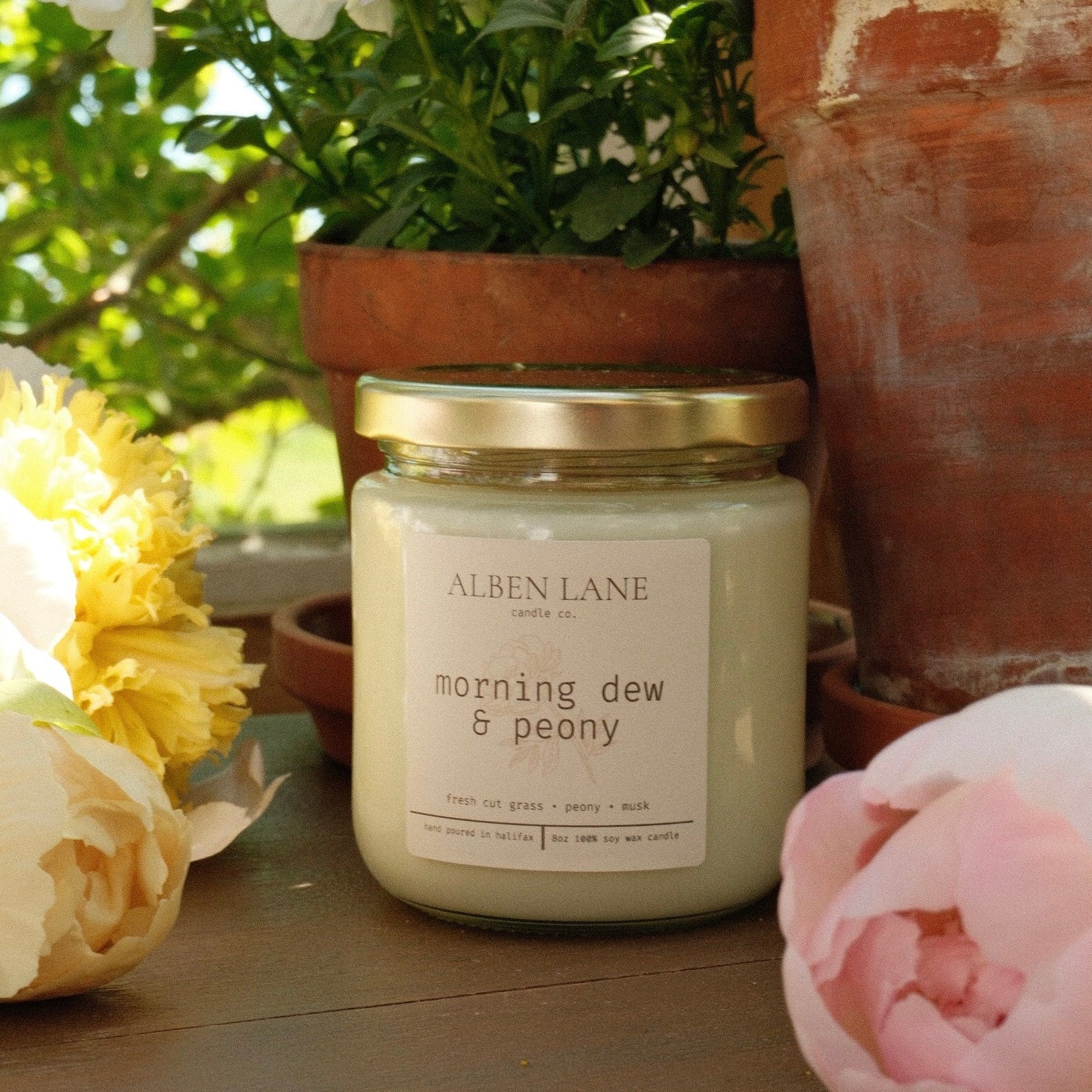 morning dew & peony