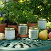 the greenhouse bundle