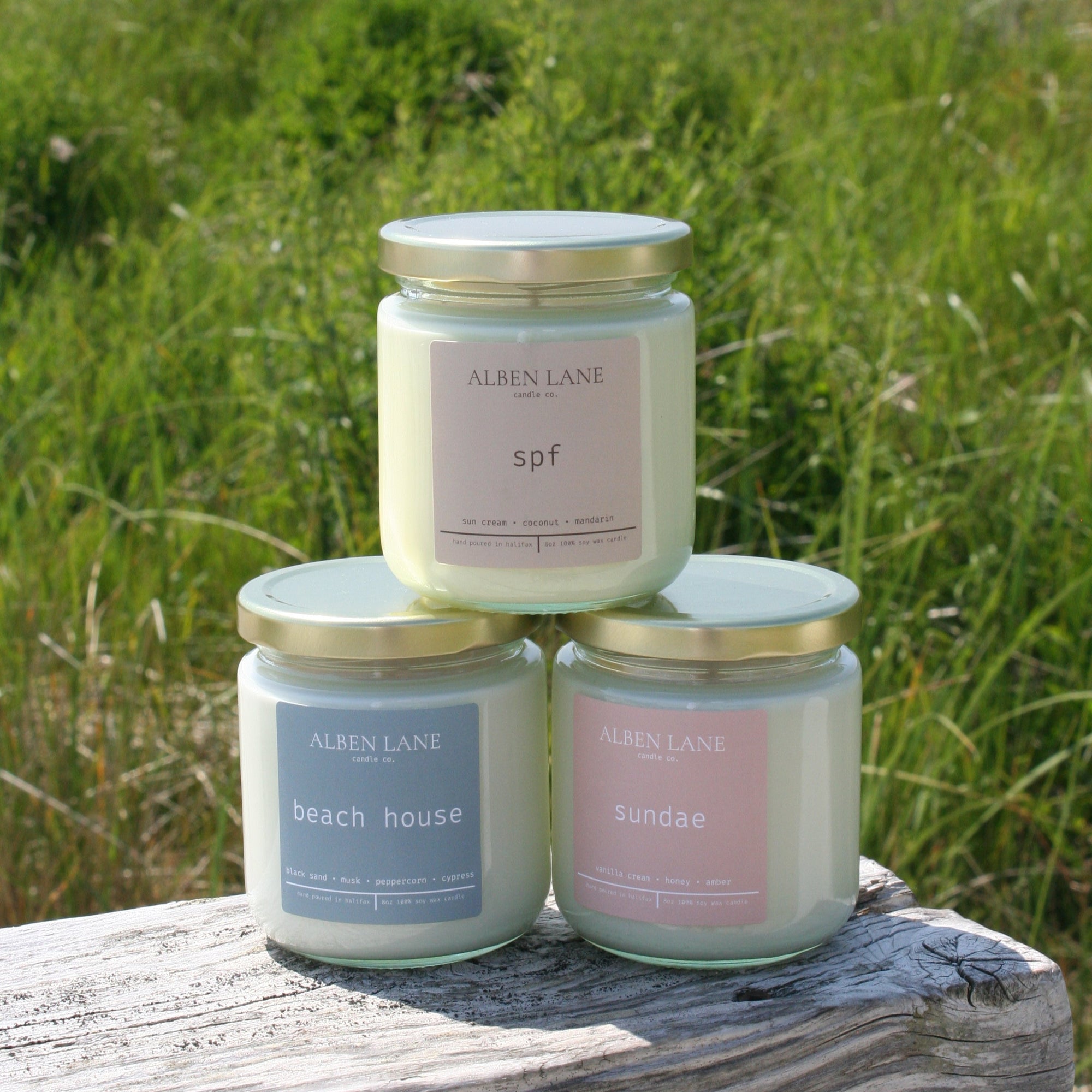 the summer bundle 🌞