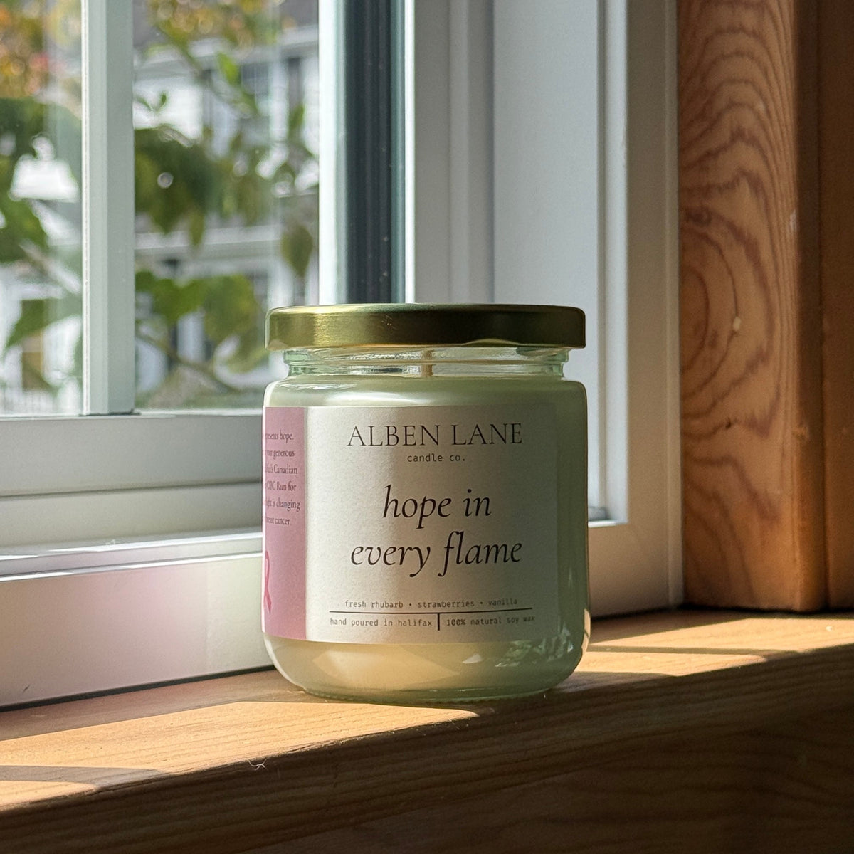 hope in every flame [fundraiser!!!]