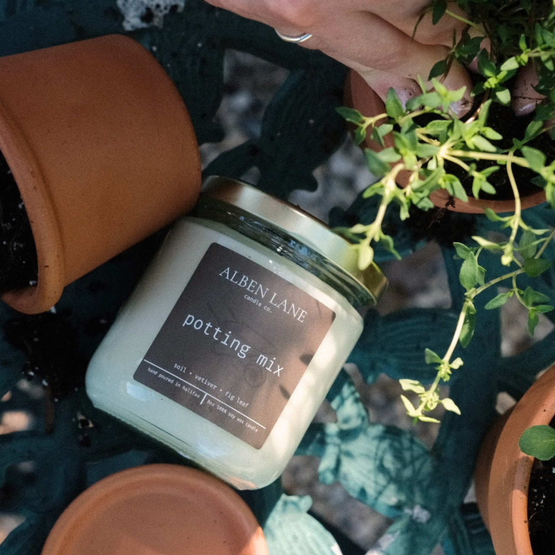 potting mix [limited batch]
